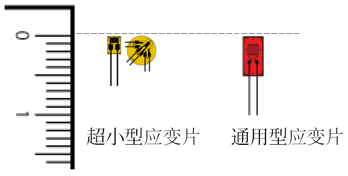 尊龙凯时·(中国)人生就是搏!