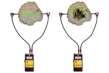 声波在完好木材和空心木材中的流传
